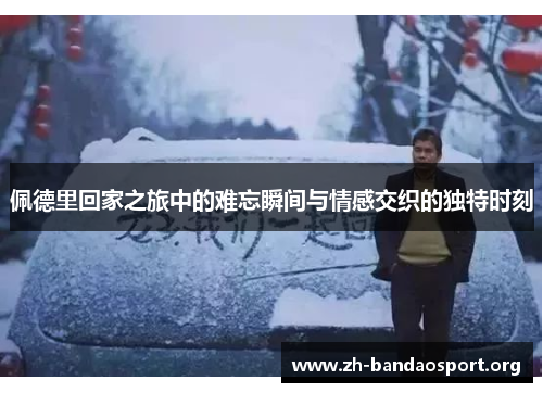佩德里回家之旅中的难忘瞬间与情感交织的独特时刻